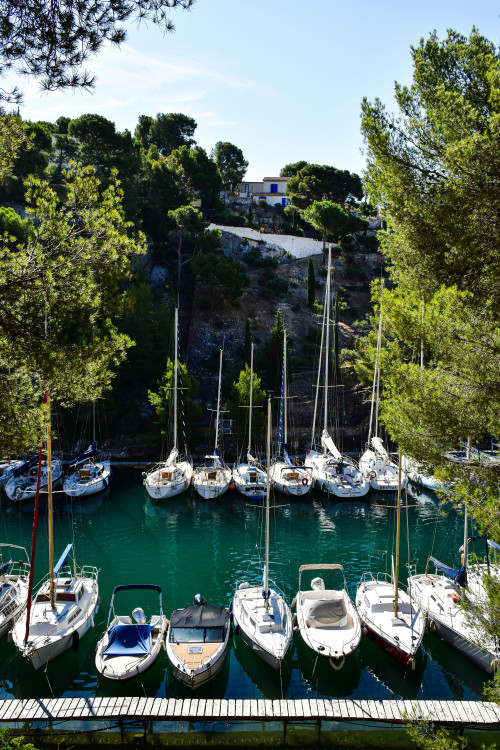 Calanque de Port-Miou (Cassis) - Port encaissé et voiliers