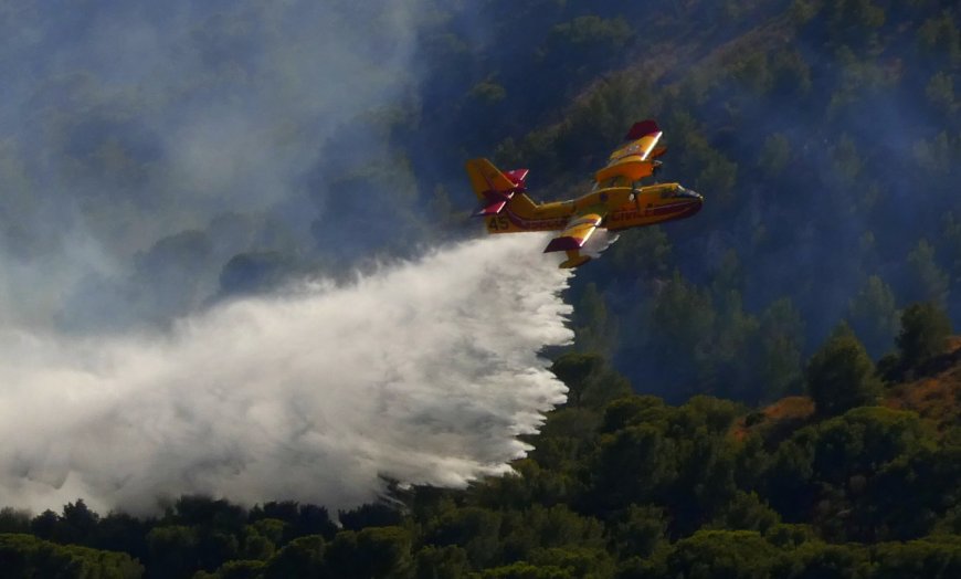 Incendie maîtrisé au Roy d’Espagne : un hectare brûlé dans les quartiers sud de Marseille