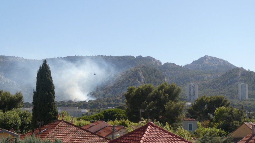 Incendie maîtrisé au Roy d’Espagne : un hectare brûlé dans les quartiers sud de Marseille