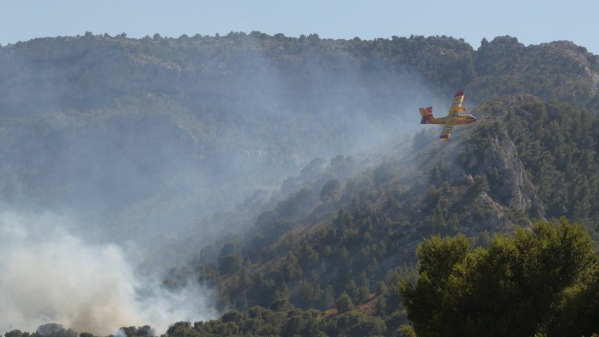 Incendie maîtrisé au Roy d’Espagne : un hectare brûlé dans les quartiers sud de Marseille