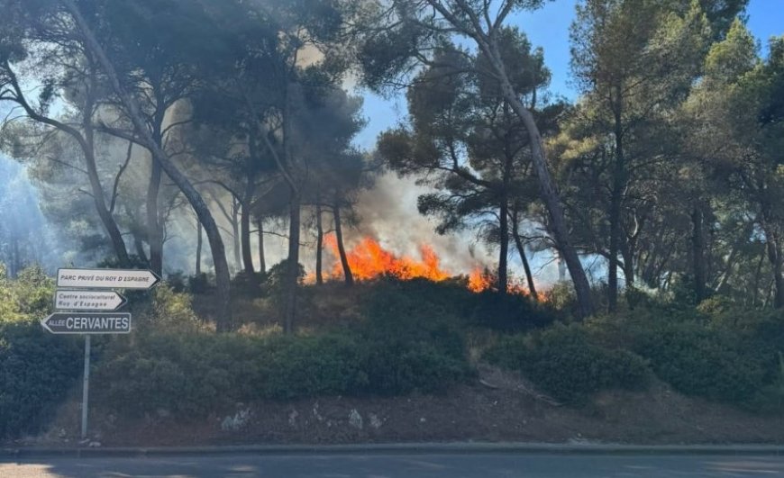 Incendie maîtrisé au Roy d’Espagne : un hectare brûlé dans les quartiers sud de Marseille