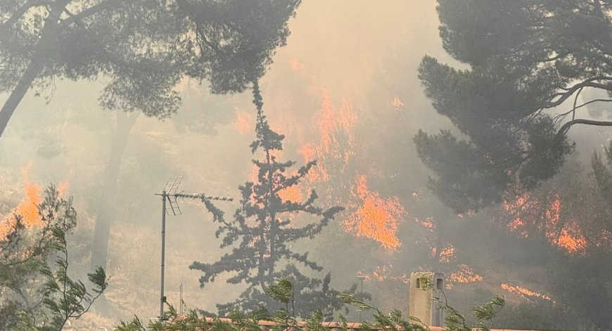 Incendie maîtrisé au Roy d’Espagne : un hectare brûlé dans les quartiers sud de Marseille