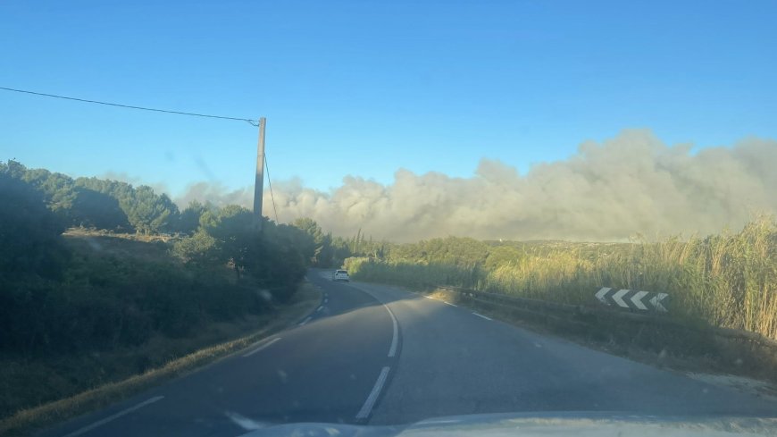 Incendie majeur à Martigues : un feu de forêt mobilise plus de 800 pompiers